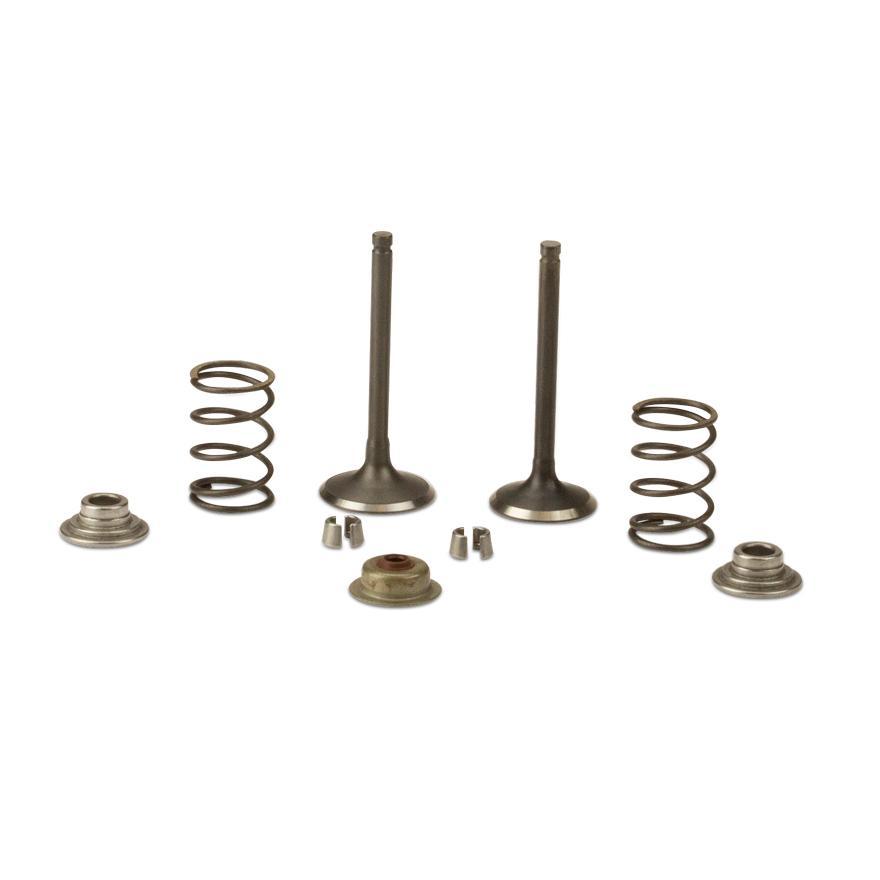 Modificatieset afsluitkleppen 390 cc