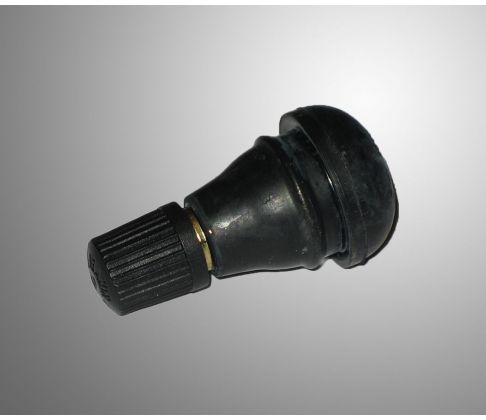 Ventiel (10 stuks)
