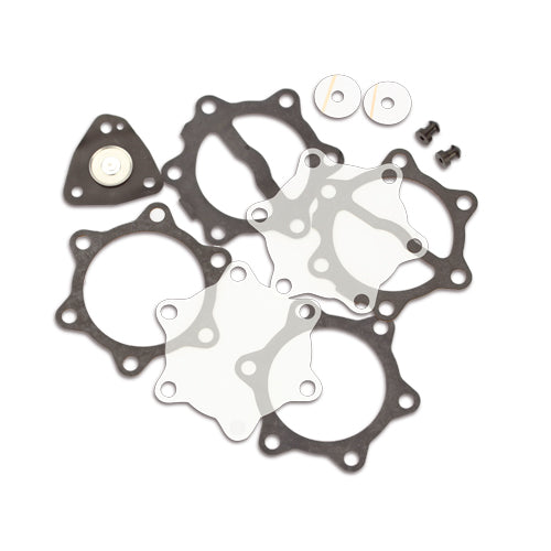 Pakkingset compleet voor benzinepomp 35 L (DF52-82)