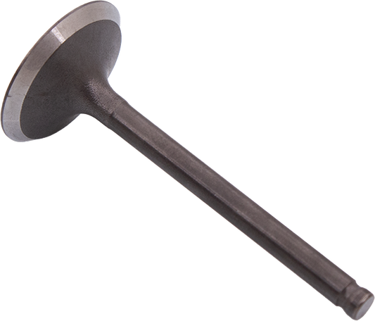 TILLOTSON KLEP INLAAT